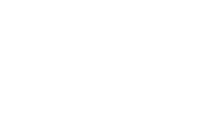 aoki-mercedes.png