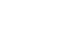 grupo-fza.png
