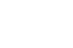 aoki-ford.png